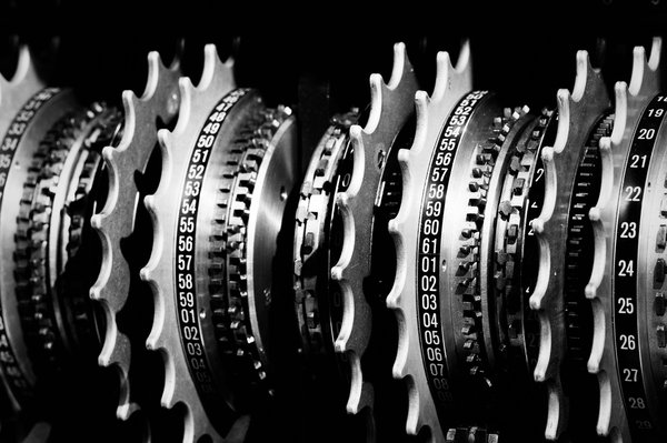 Unravel the excitement of your wish mystery box experience